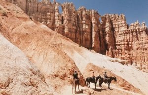 horses on a rugged path in the outback on a trail